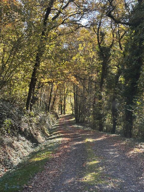   Vente Maison Maison - 4 pi�ce(s) - 76 m�