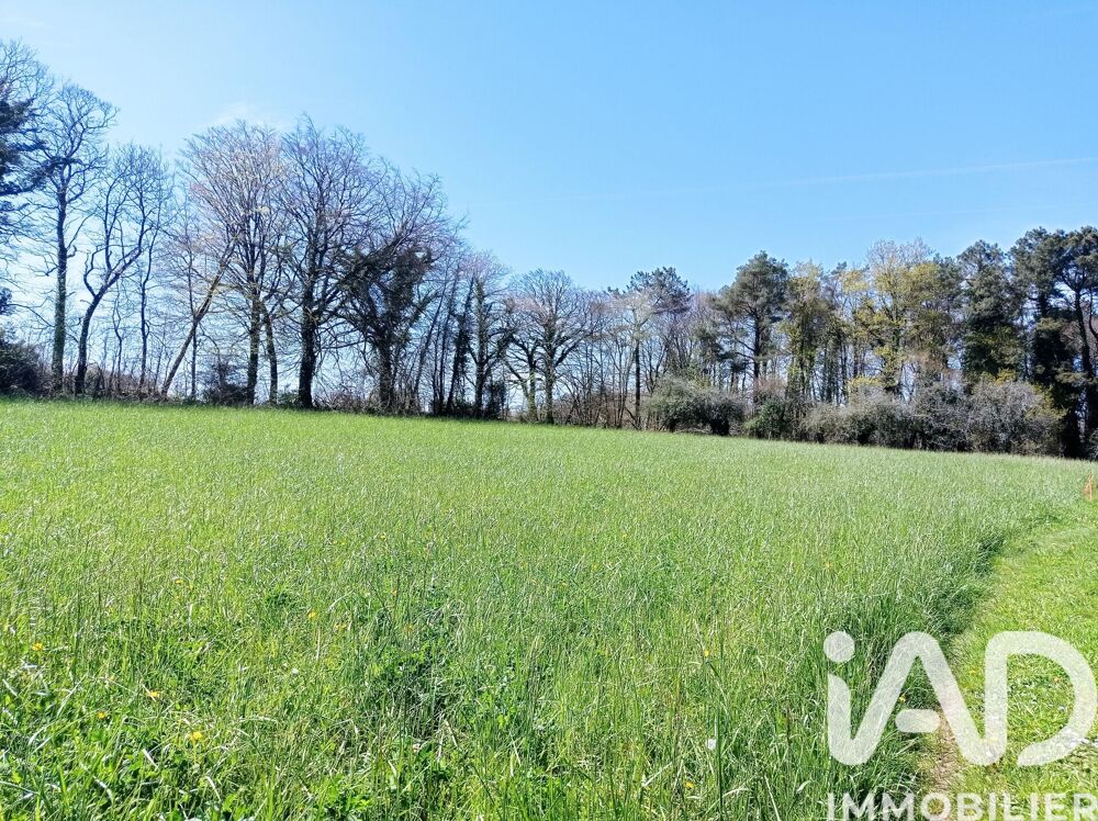 Vente Terrain Vente Terrain à bâtir 880 m&sup2; Camors