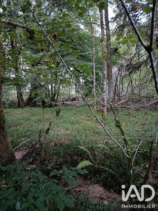  Terrain à vendre 8100 m²