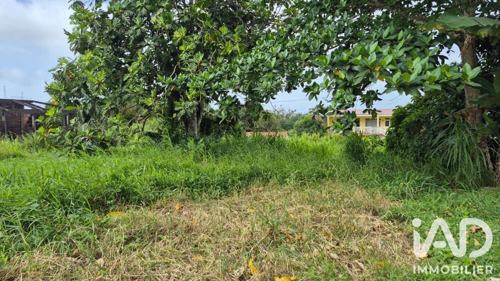 Vente Terrain Vente Terrain à bâtir 1 142 m&sup2; L'ajoupa-bouillon