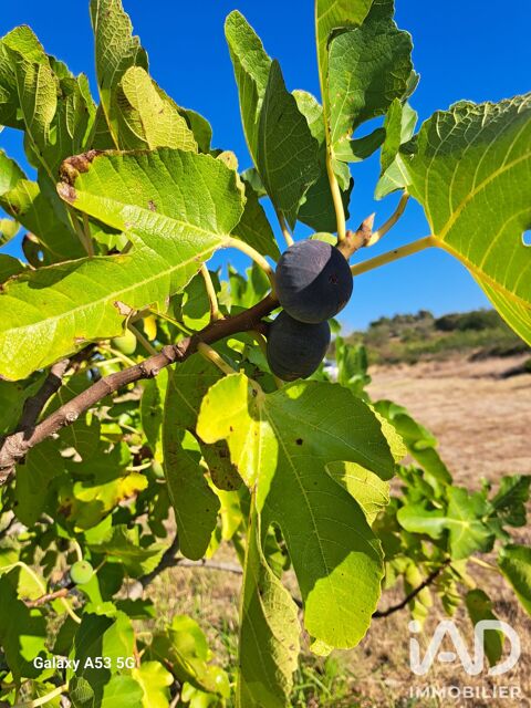   Vente Agriculture, Viticulture 