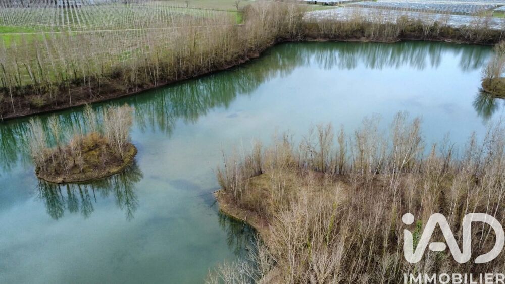 Vente Terrain Vente Terrain 125 000 m&sup2; Castelferrus