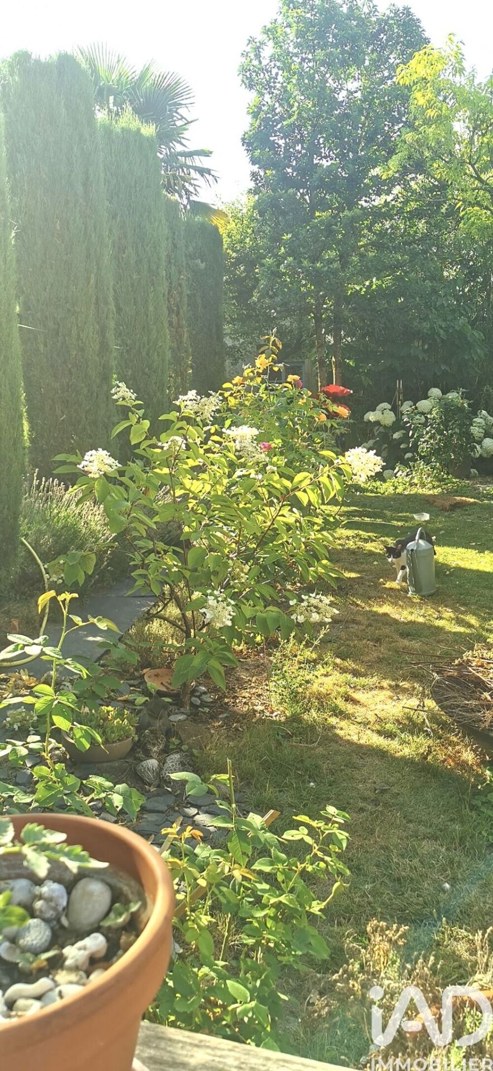 � vendre  Maison Reims (51100)