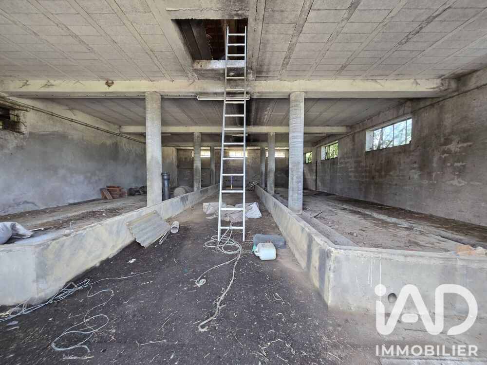 Vente Immeuble Vente Immeuble 500 m&sup2; Amance