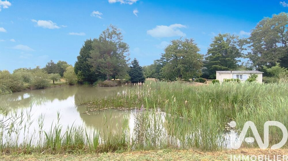 vente Terrain - 8000 m² Tendu (36200)