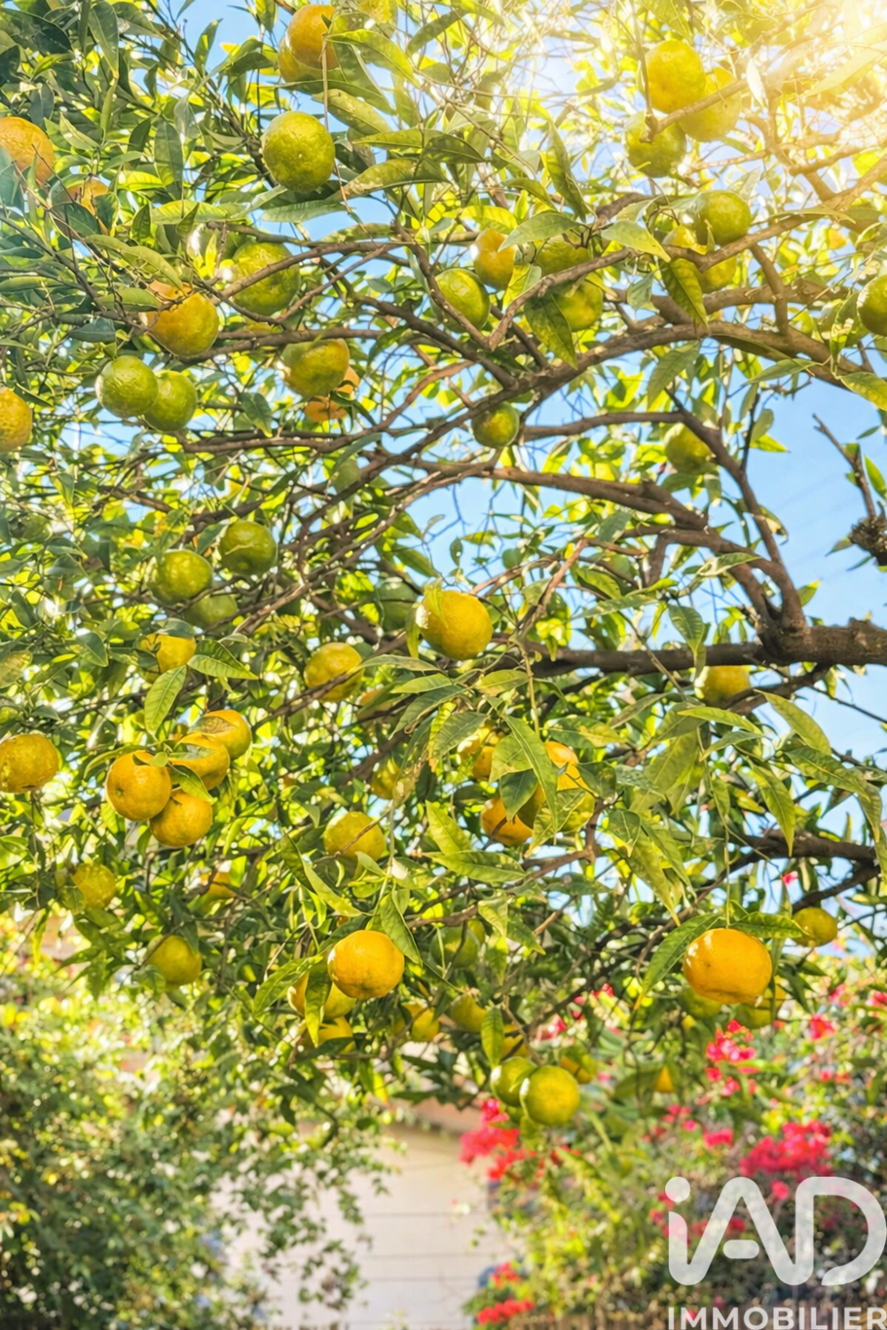 à vendre  Maison Antibes (06600)