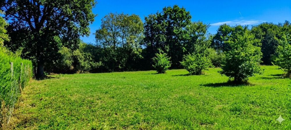 Vente Terrain Terrain de loisir de 3 000 m² au calme Angers
