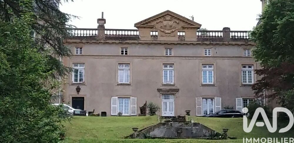 Vente Château 7 pièces