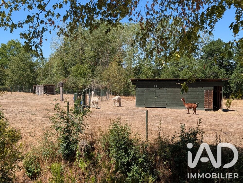 Vente Domaine 10 pièces