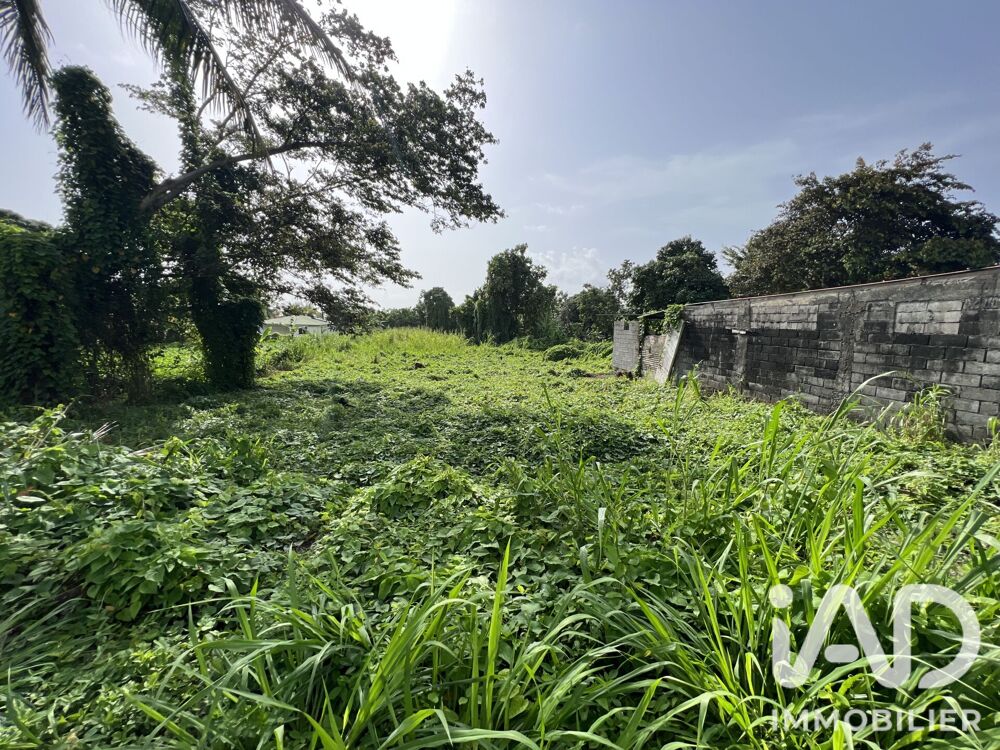 Vente Terrain Vente Terrain 1 250 m&sup2; Capesterre-belle-eau