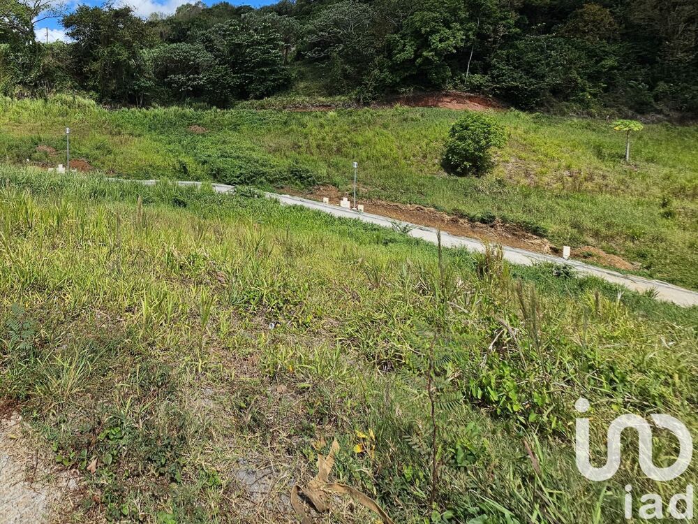 Vente Terrain Vente Terrain à bâtir 592 m&sup2; Ducos