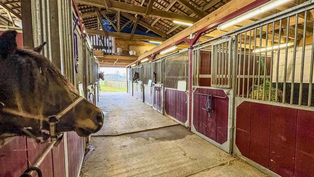  vendre  Maison Villeneuve-sur-Lot (47300)