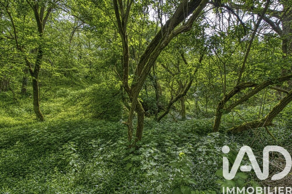 Vente Terrain Vente Terrain à bâtir 2 024 m&sup2; Estouy