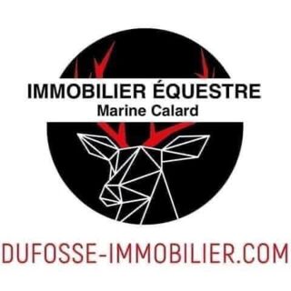  Maison � vendre 15 + pi�ces 450 m�