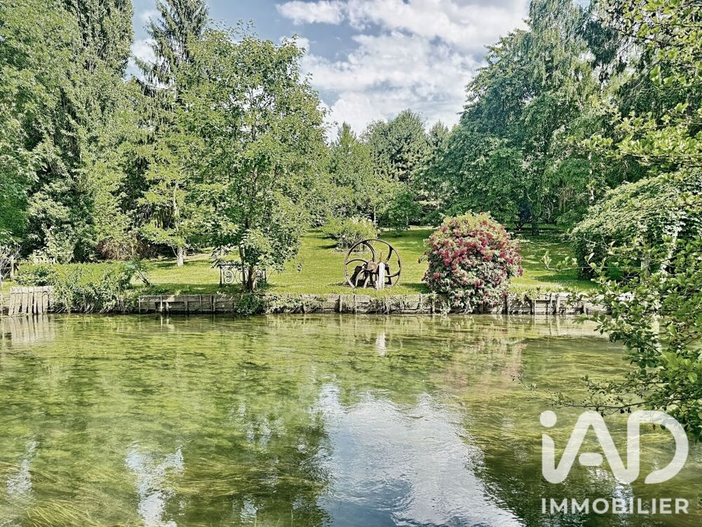 Vente Maison Vente Moulin 10 pièces Anet