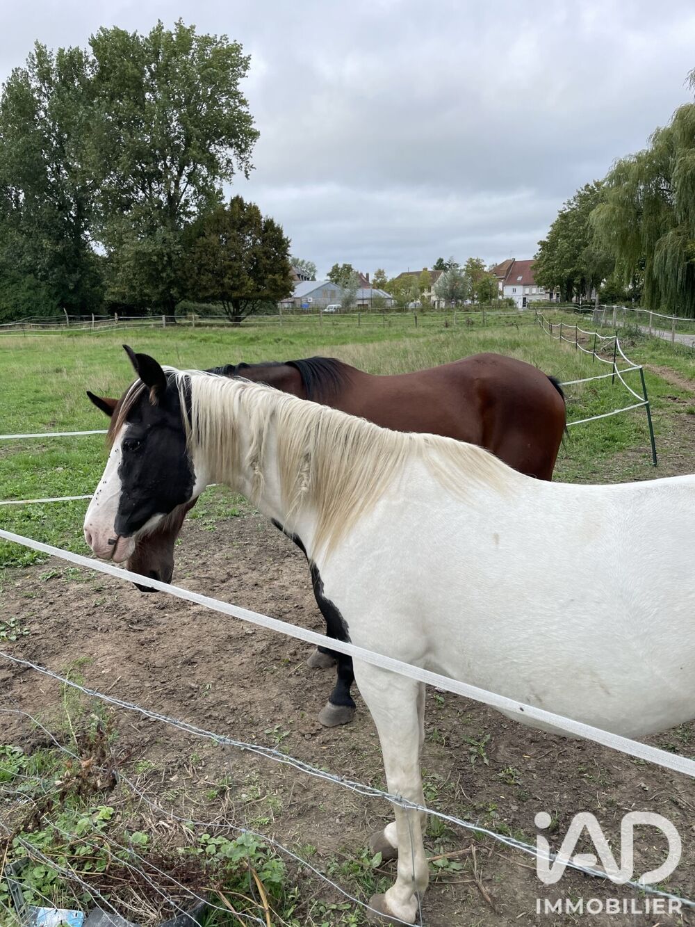 Vente Terrain Vente Terrain 5 450 m&sup2; Haverskerque