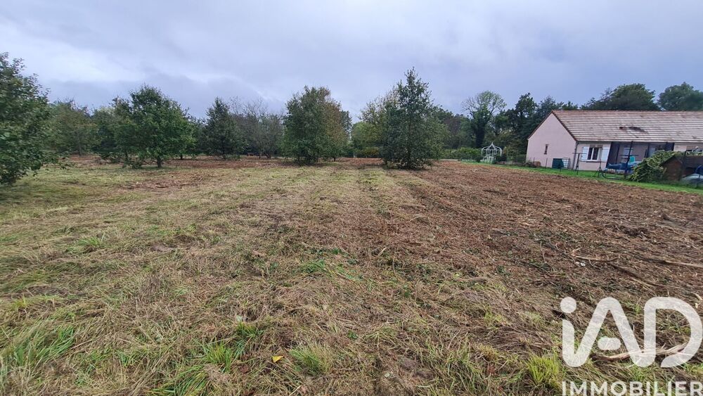vente Terrain - 1055 m² Coudroy (45260)