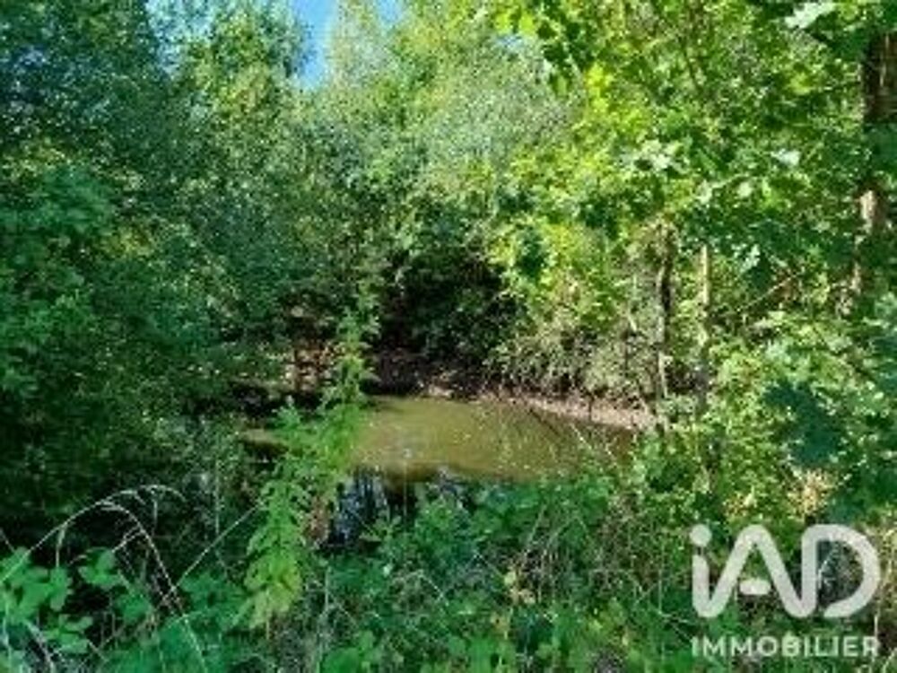 Vente Terrain Vente Terrain à bâtir 12 007 m&sup2; Gourdon