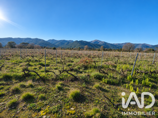 Vente Terrain Vente Terrain agricole 18 000 m&sup2; Saint-andré