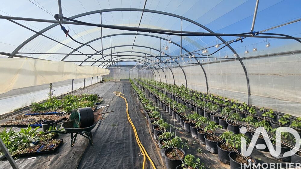Vente Terrain Vente Terrain agricole 2 806 m&sup2; Lorgues
