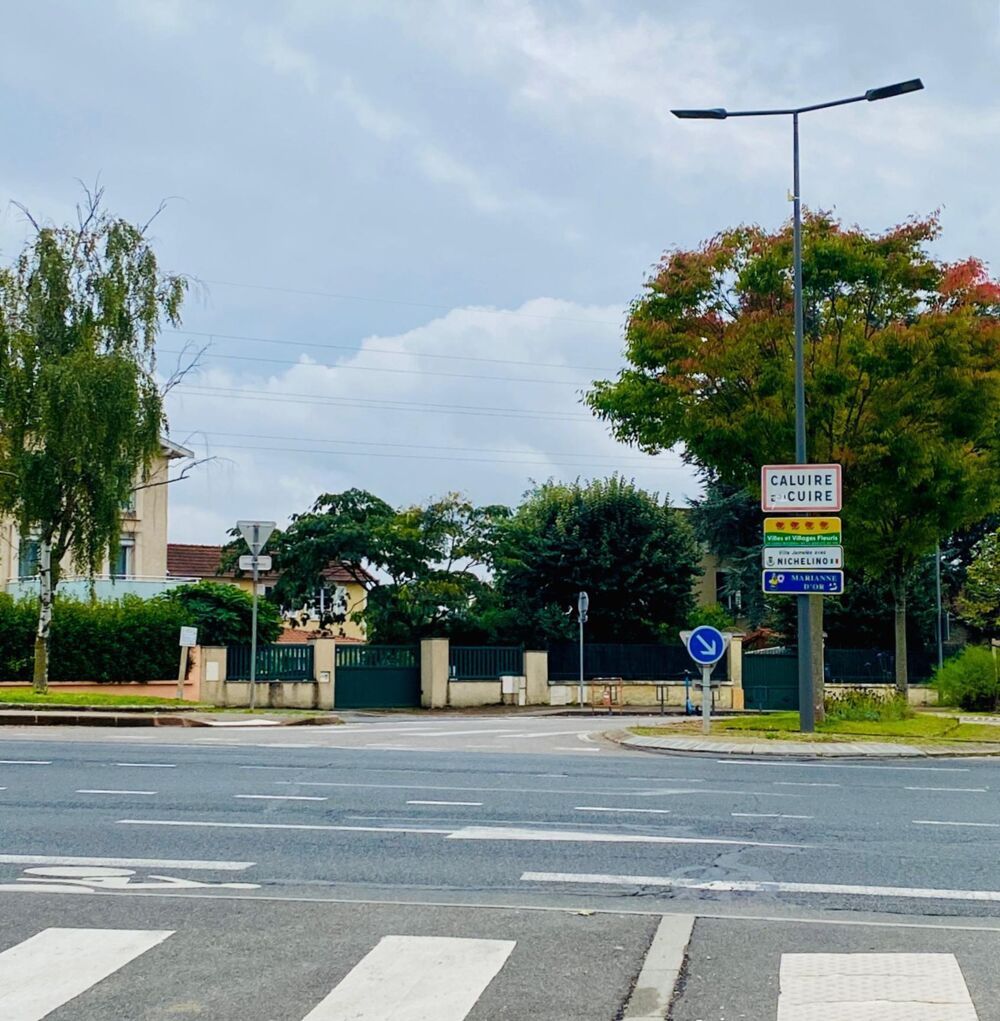  vendre  Maison Fontaines-sur-Sane (69270)