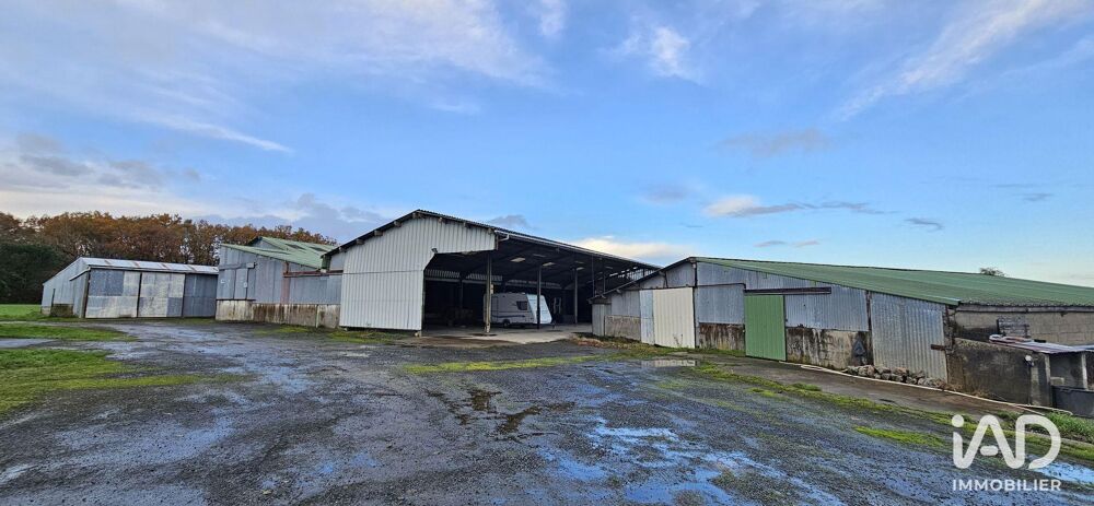   Vente Hangar 1 300 m&sup2; 