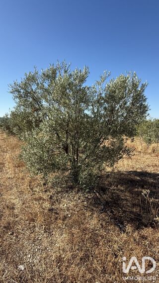 Vente Terrain Vente Terrain agricole 28 595 m&sup2; Paulhan