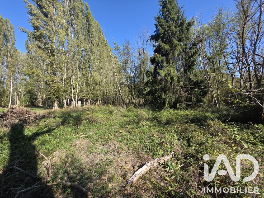 Vente Terrain Vente Terrain 2 920 m&sup2; Courçay