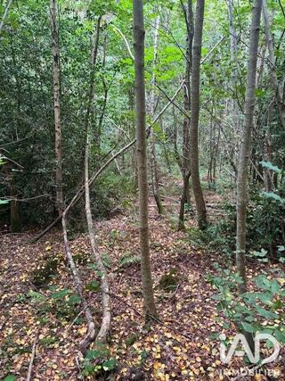 Vente Terrain Vente Surface diverse 7 705 m&sup2; La croix aux bois