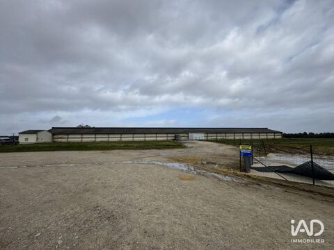   Vente Local d'activités 2 250 m&sup2; 