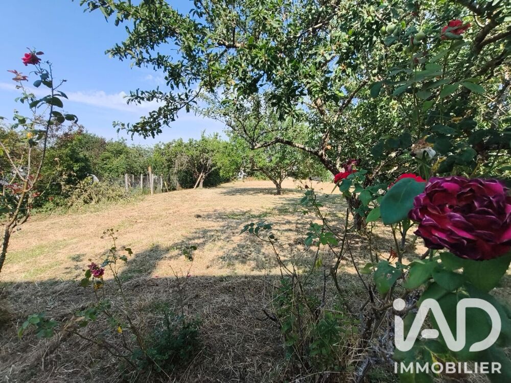 vente Maison - 6 pièce(s) - 141 m² Saint-Georges-sur-Loire (49170)