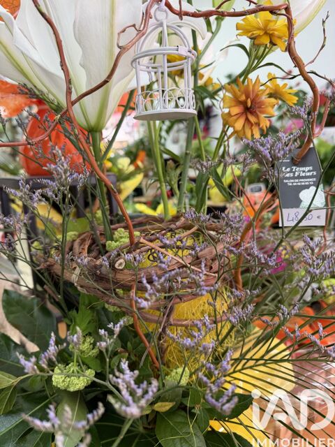 iad France - Beryl Royer vous propose: Fleuriste empl... 125000 13300 Salon-de-provence