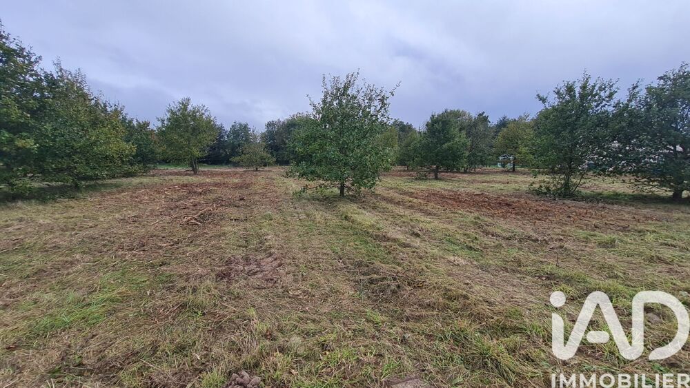 vente Terrain - 1057 m² Coudroy (45260)