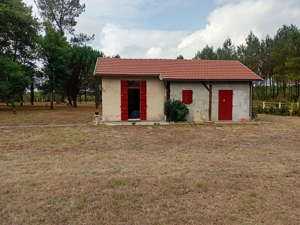 Maison, 9 pièces, Escource