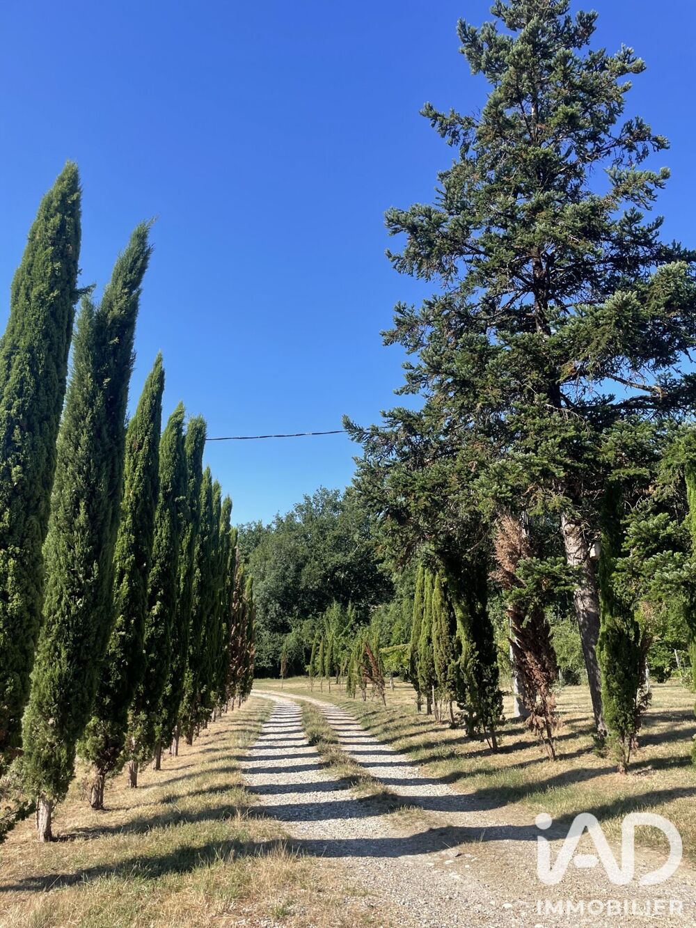 Vente Domaine 7 pièces
