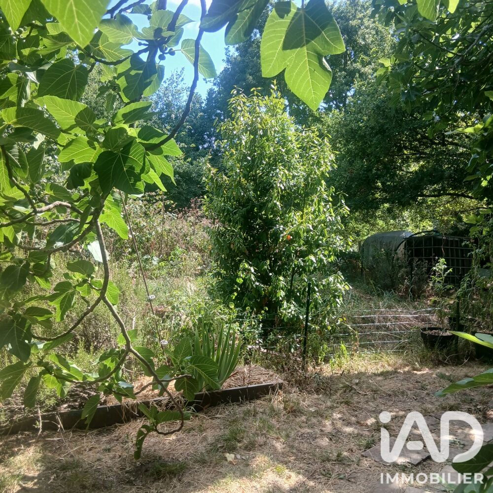 Vente Maison Vente Maison/villa 5 pièces Lisle-sur-tarn