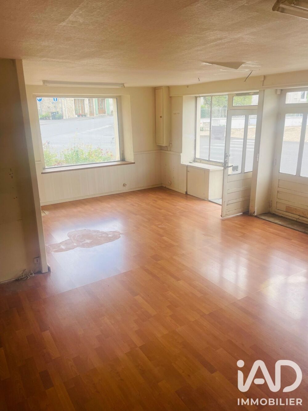 Vente Immeuble Vente Immeuble 51 m&sup2; Lathus ts remy