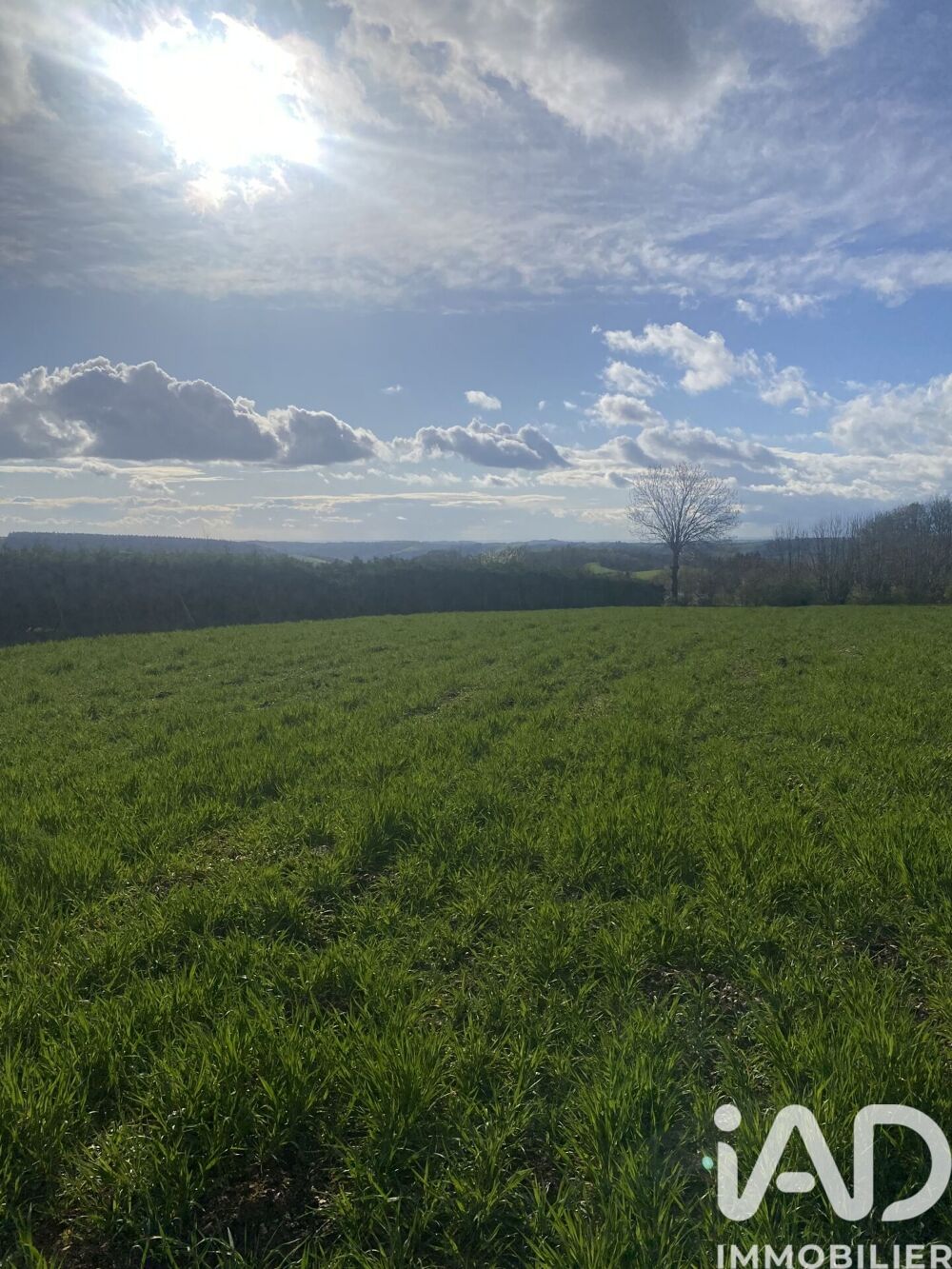 Vente Terrain Vente Terrain à bâtir 5 182 m&sup2; Saint-salvi-de-carcavès