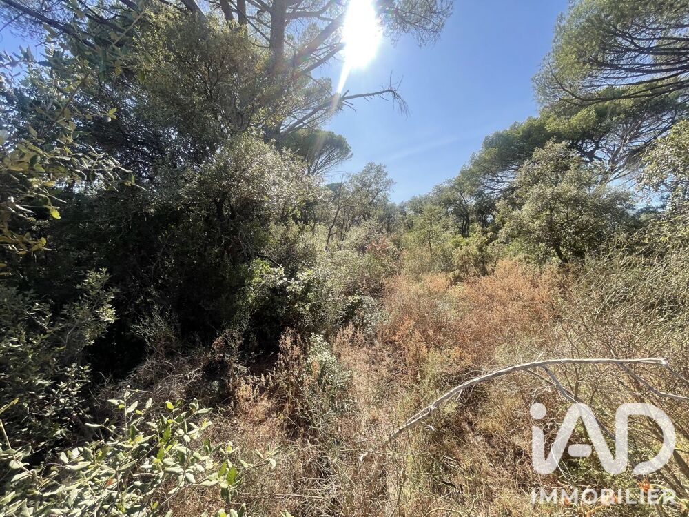 Vente Terrain Vente Terrain 25 105 m&sup2; Le cannet-des-maures
