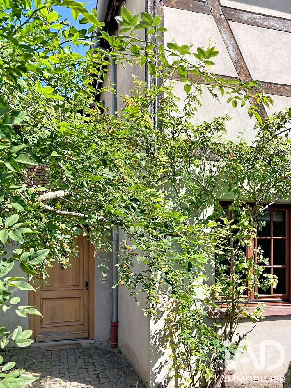 à vendre  Maison Strasbourg (67000)