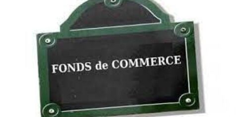 iad France - Elise Savary De Beauregard () vous propo... 235000 92120 Montrouge
