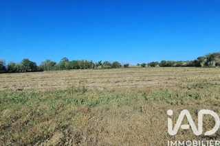  Terrain à vendre 44312 m²