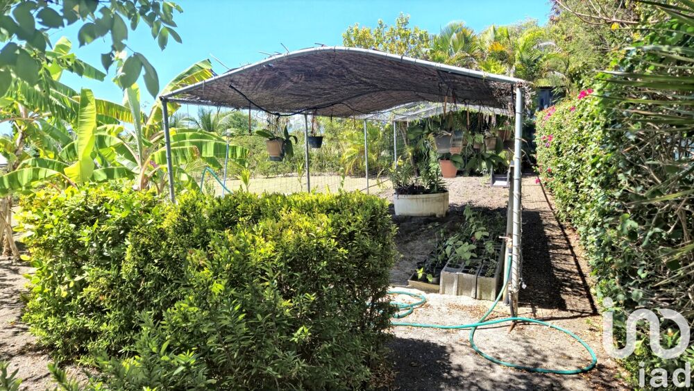 à vendre  Maison Saint-François (97118)