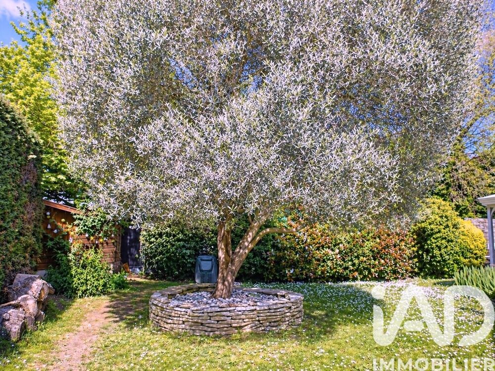 à vendre  Maison L'Union (31240)