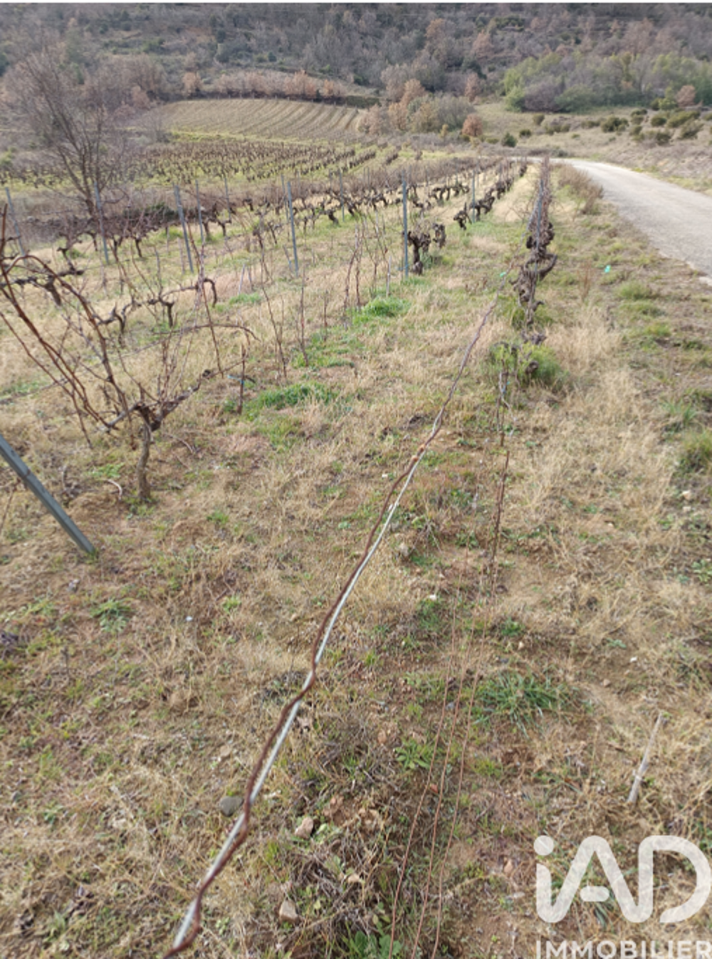 vente Terrain - 65360 m² Caramany (66720)