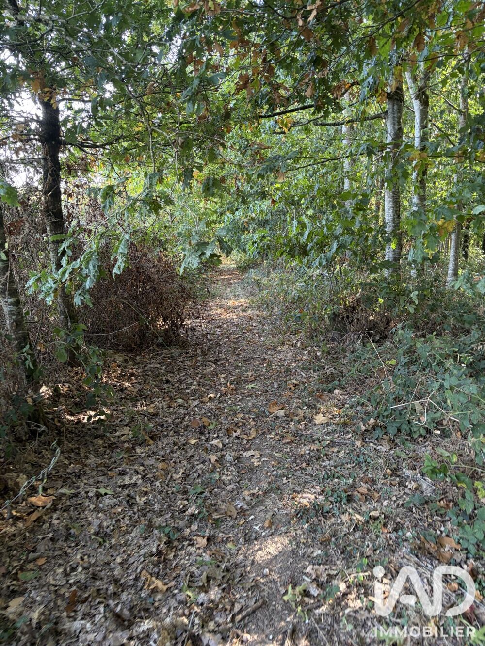 Vente Terrain Vente Surface diverse 45 000 m&sup2; Plounévez-quintin