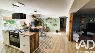  Maison � vendre 7 pi�ces 252 m�