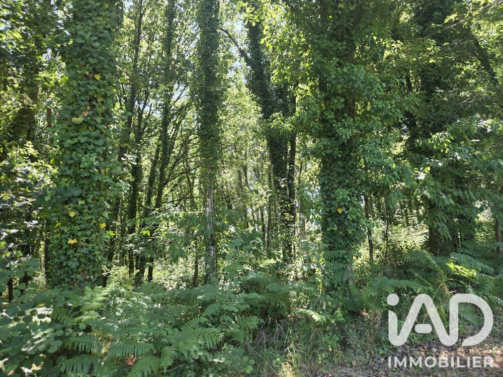 Vente Terrain Vente Terrain agricole 3 320 m&sup2; Limerzel