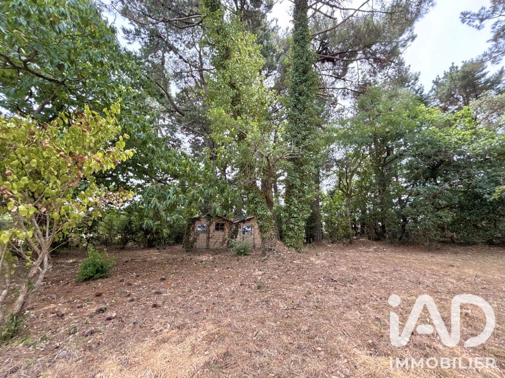 à vendre  Maison Sarzeau (56370)