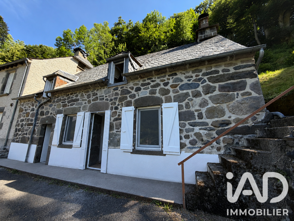 vente Maison - 3 pièce(s) - 60 m² Le Falgoux (15380)